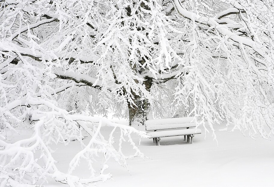 Погода в Украине 8 февраля – когда перестанет идти снег, синоптики дали прогноз - фото 1