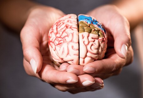 Google создал детальную карту частицы человеческого мозга (видео)
