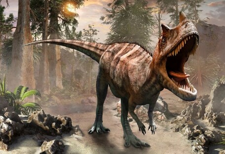 Зубы и кости динозавра: на Киевщине нашли останки возрастом 40 миллионов лет  