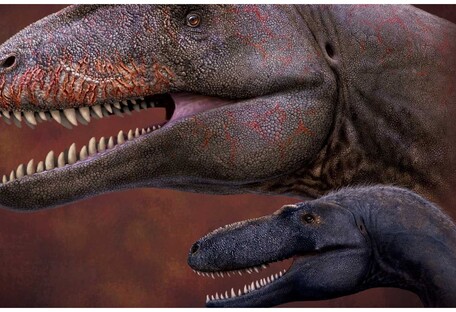 Ученые нашли останки предка тираннозавра с 
