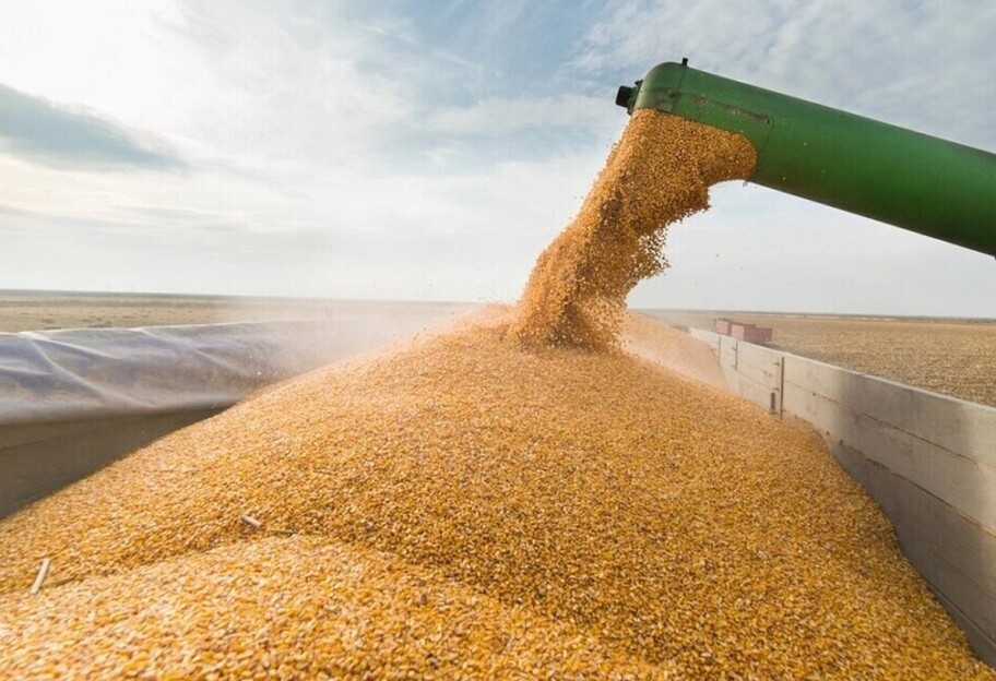 Вывоз зерна из Украины - в Госдуме РФ примут закон, упрощающий кражу  - фото 1
