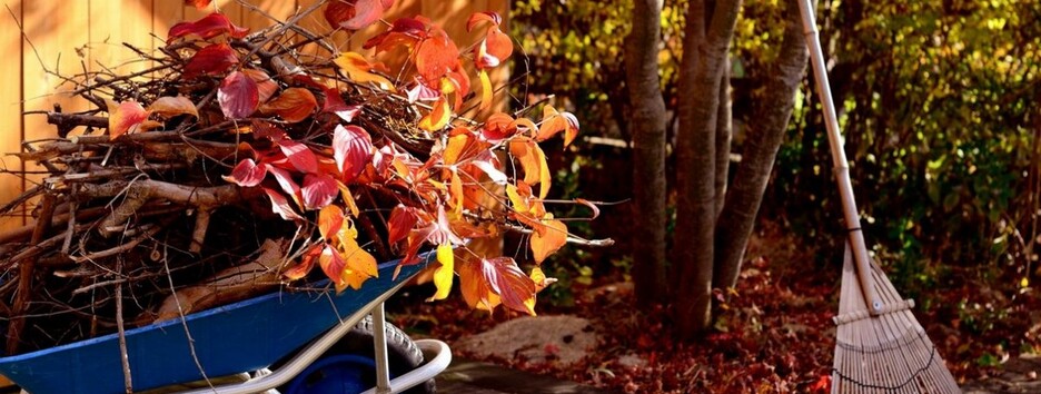 Самые распространенные ошибки садоводов осенью: как не навредить огороду 