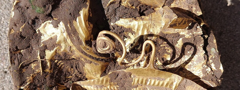 Фермер у Чехії викопав на буряковому полі унікальний золотий пояс, якому 2,5 тис. років (фото)