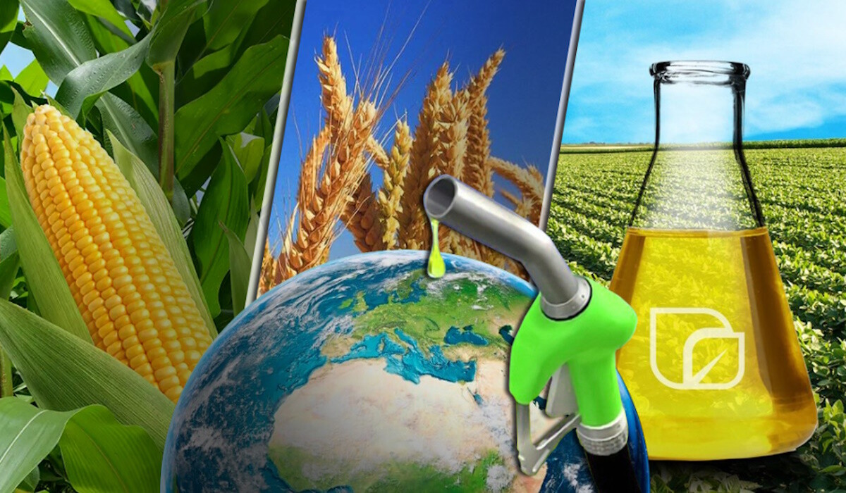 Будущее геополитики: биотопливо или еда? – Алексей Кущ