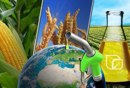 Будущее геополитики: биотопливо или еда? – Алексей Кущ