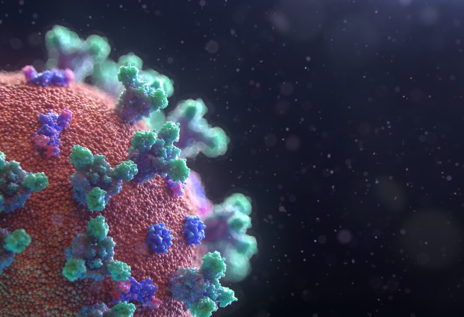 Ученым удалось смоделировать момент появления коронавируса - фото 1
