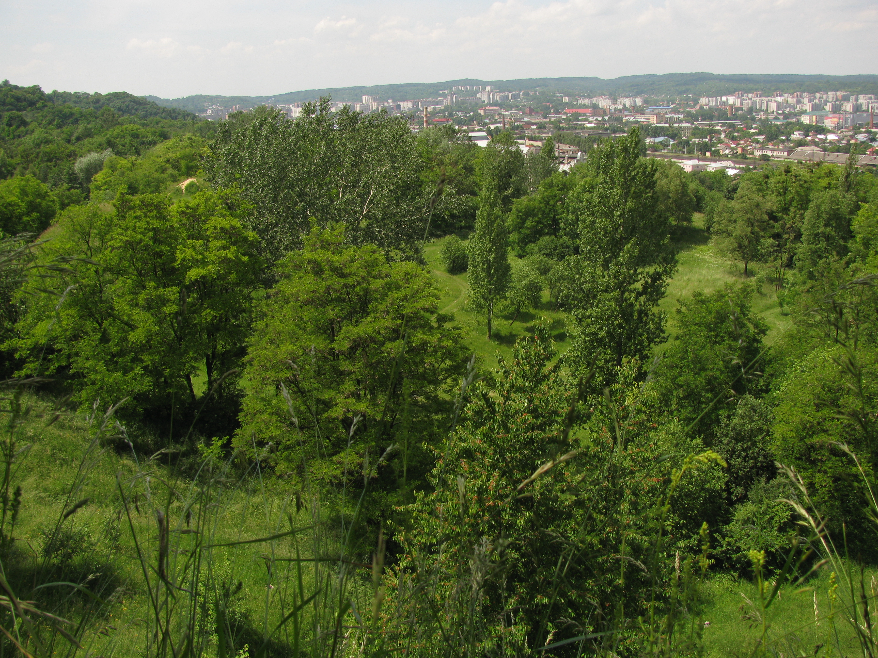 Парк "Вознесение" во Львове. Wikipedia