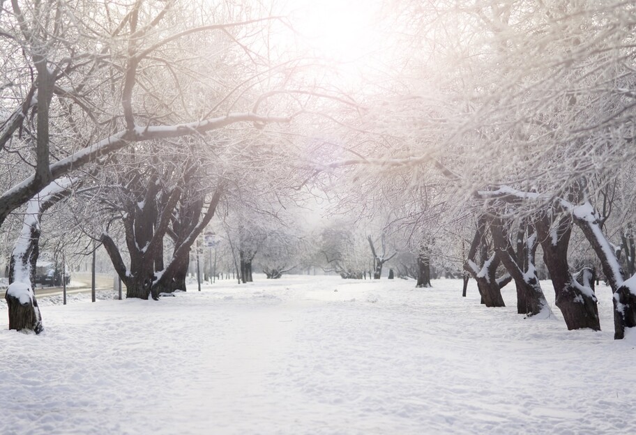 Погода в Україні 16 січня - синоптик попередила про похолодання і ожеледицю - фото 1
