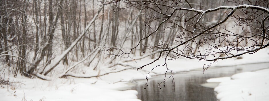 Сильні морози та ожеледиця: у неділю в Україні очікується справжня зима - карта
