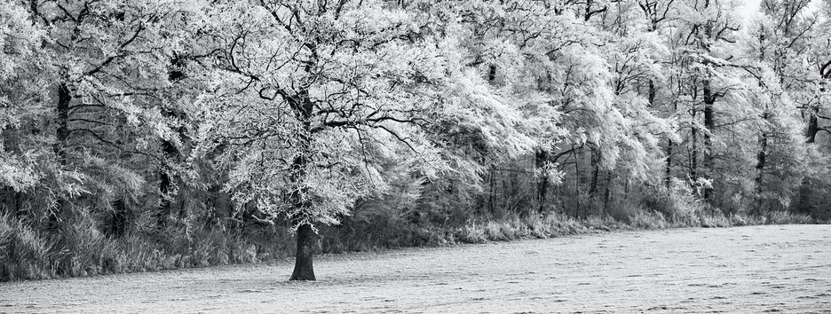 Погода на Водохреще: Україна належатиме антициклону Dragica - карта