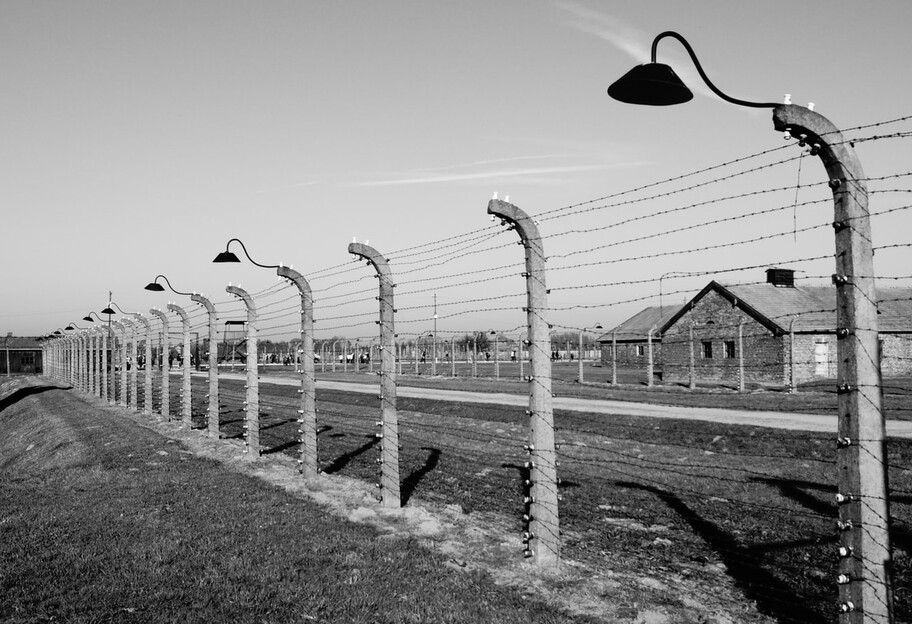 Фільми про Голокост до Міжнародного дня пам'яті жертв Голокосту - відео - фото 1
