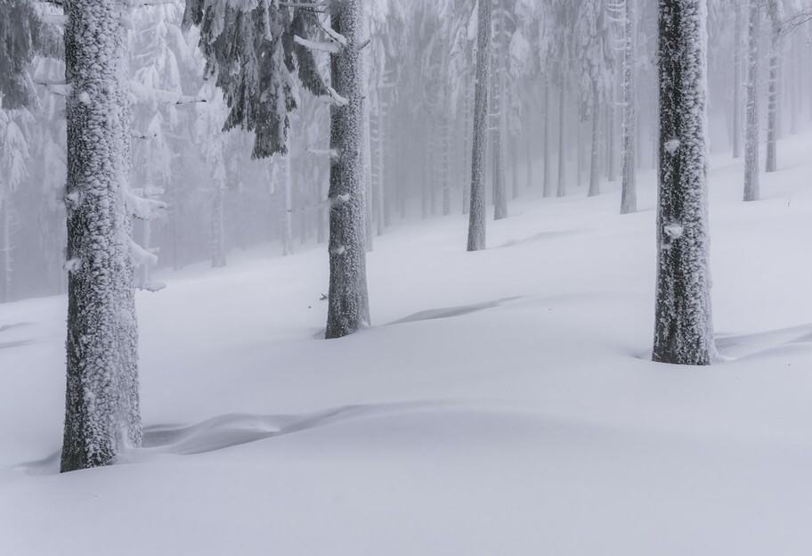 Погода в Україні 29 січня - синоптик попередила про сніг та ожеледицю - фото 1
