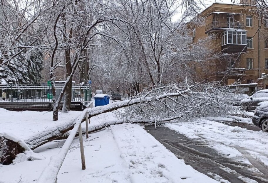 В Україні без світла залишились 358 населених пунктів - Негода в Україні - Снігопад - погода в Україні - фото 1