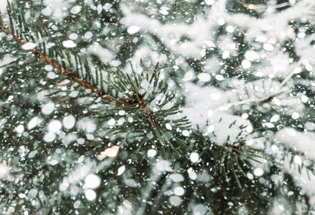 До 40 см снега: в Украине объявили штормовое предупреждение
