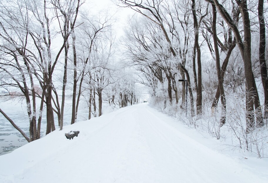 Погода в Украине ухудшается - где 8 февраля прогнозируют снег и голодед - фото 1