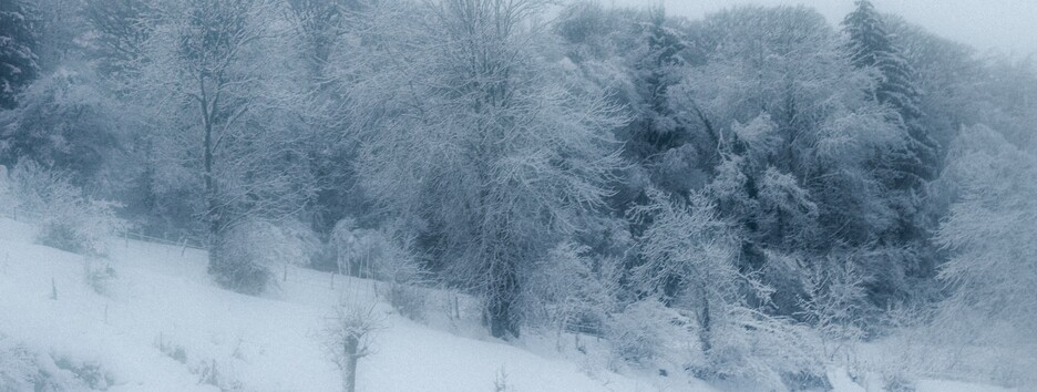 Бег в носках: в Финляндии приобретает популярность необычный спорт (видео)