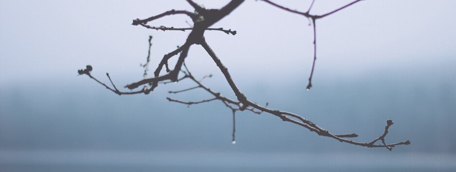 В Украине резко потеплеет: метеорологи обновили прогноз до конца недели