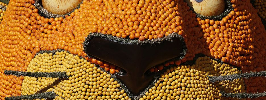 Фестиваль лимонов на юго-востоке Франции