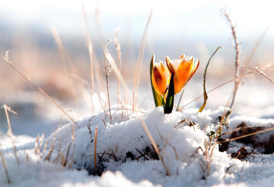 Погода в Украине - 24 февраля от -17 ночью до +15 градусов днем - фото 1