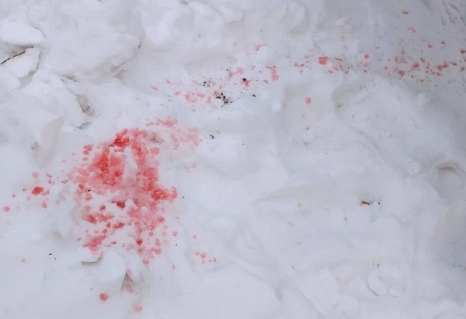 Розовый снег в Киеве оказался не ядом - исследование - фото 1