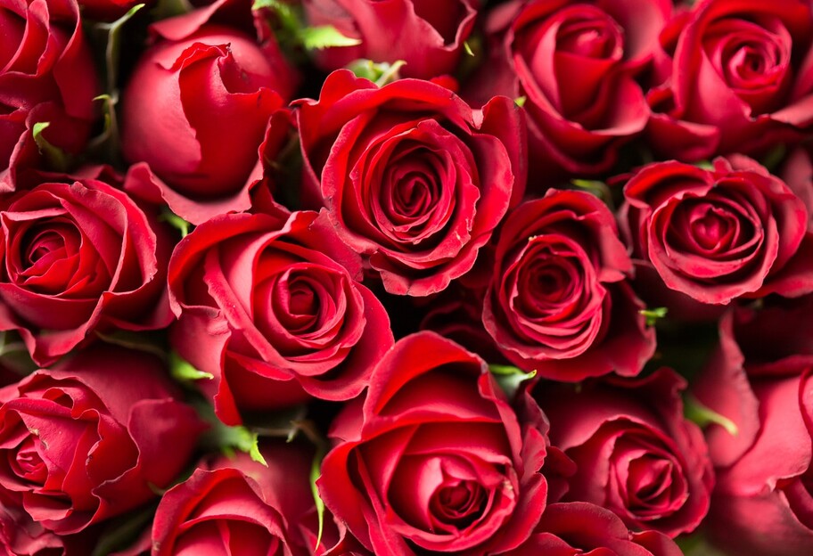 Как поздравить сотрудников и учителей в День святого Валентина и что им подарить