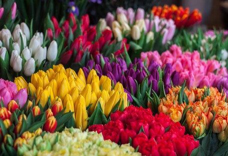 У Києві напередодні 8 березня подорожчали квіти