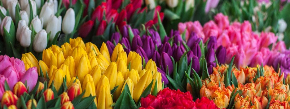 В Киеве накануне 8 марта подорожали цветы 