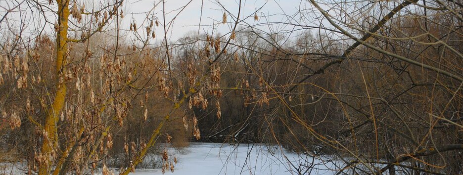 Морози до -15 і подекуди ожеледиця: яку погоду очікувати 10-12 березня (карта)