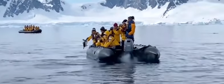 Рятувався від косаток: в Антарктиді пінгвін застрибнув у човен до туристів (відео)