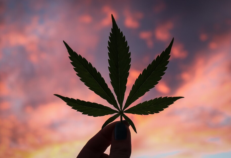 список страны легализовали марихуану
