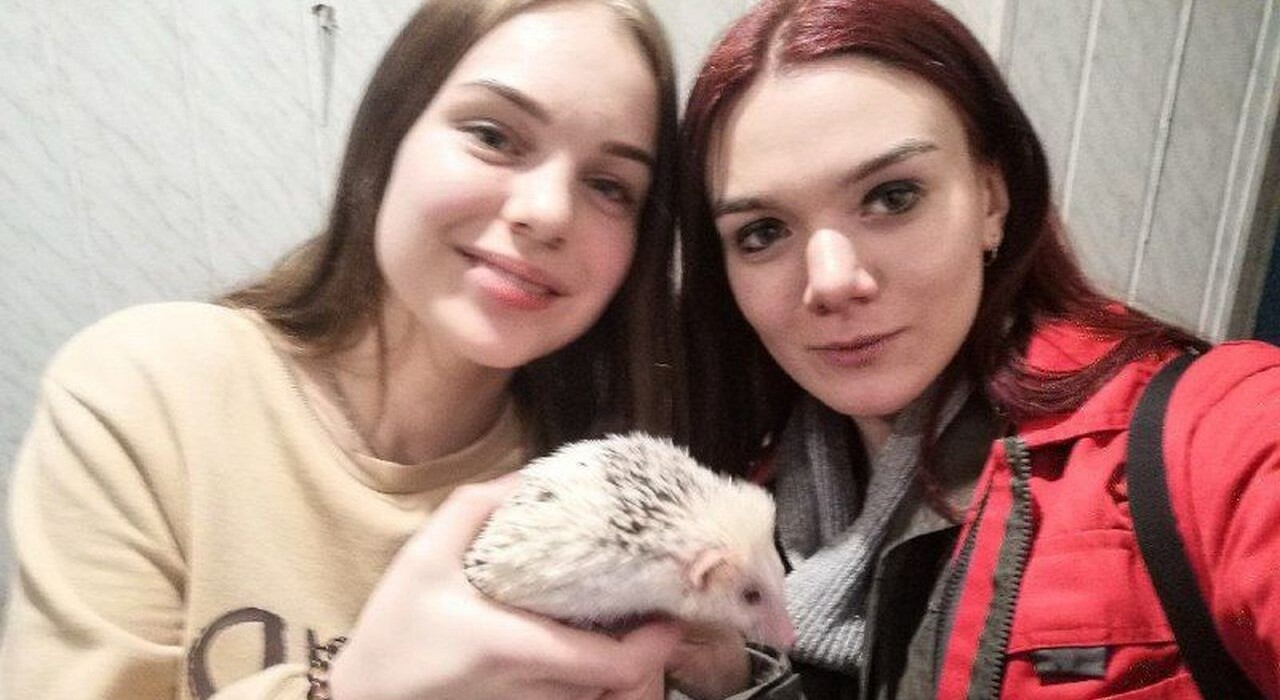 В Киеве спасатели всю ночь пытались достать ежа, застрявшего в батарее (фото) фото