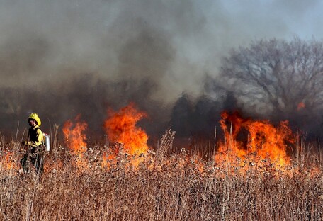В Киеве неизвестные подожгли траву: в городе стало еще труднее дышать (фото)