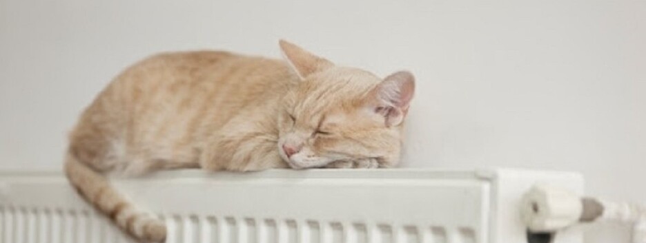 Стало известно, какие города Украины первыми отключат отопление