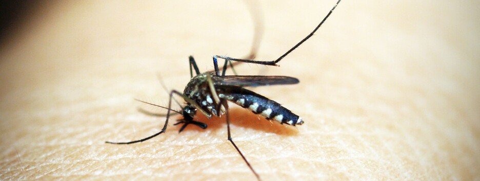 Українка померла від тропічної хвороби після повернення з Африки