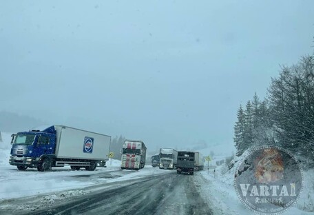 Во Львовской области выпал снег — движение транспорта ограничено