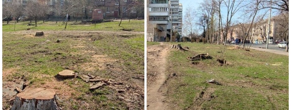 В Києві вирубали дерева у відомому сквері (фото)