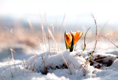 На юге Украины посреди весны пошел пушистый снег (видео)