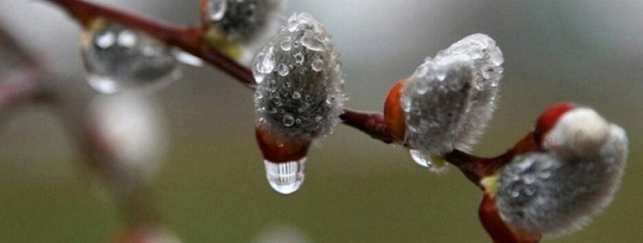 В Україні ненадовго потеплішає, а на Вербну неділю обіцяють сніг