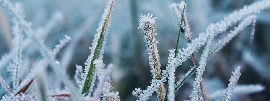 В Україні істотно похолодає: синоптики попередили про сильні заморозки