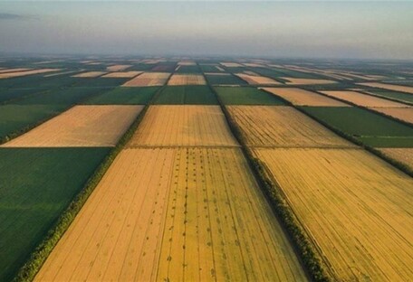 Українцям пояснили, чи скасують безкоштовні два гектари землі