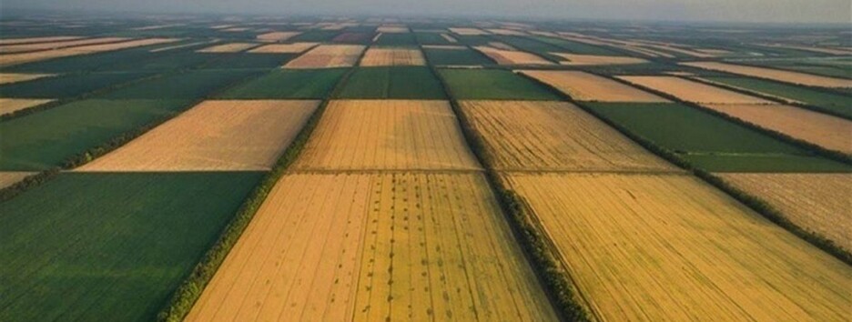 Украинцам объяснили, отменят ли бесплатные два гектара земли