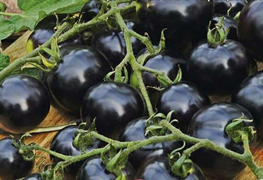 Нові чорні томати з антиоксидантами незабаром можна буде купити в Україні - фото 1