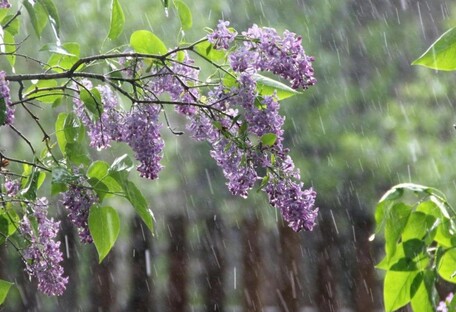 Большую часть Украины накроет дождями: появился прогноз погоды до 10 мая