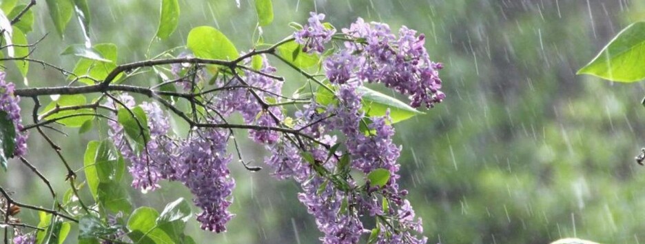 Більшу частину України накриє дощами: з'явився прогноз погоди до 10 травня