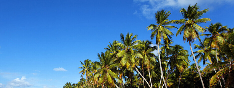 Українські туристи побилися у літаку на шляху до Домінікани (фото)