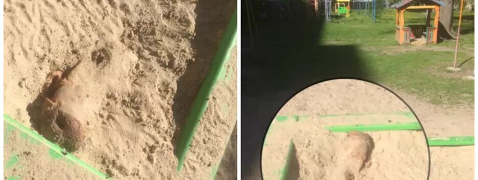 На дитмайданчику у Києві знайшли голову свині (фото)