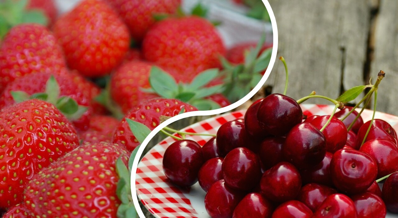 Дорогі полуниця і черешня: що відбувається з цінами на ранні овочі і фрукти