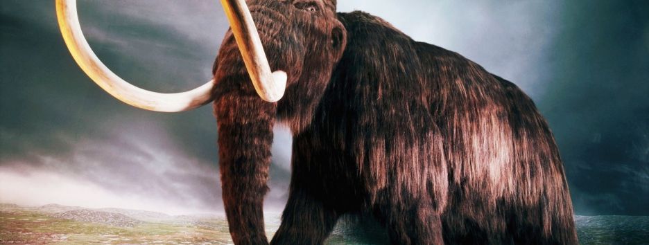 Гарвардские генетики собираются возродить мамонтов через пару лет