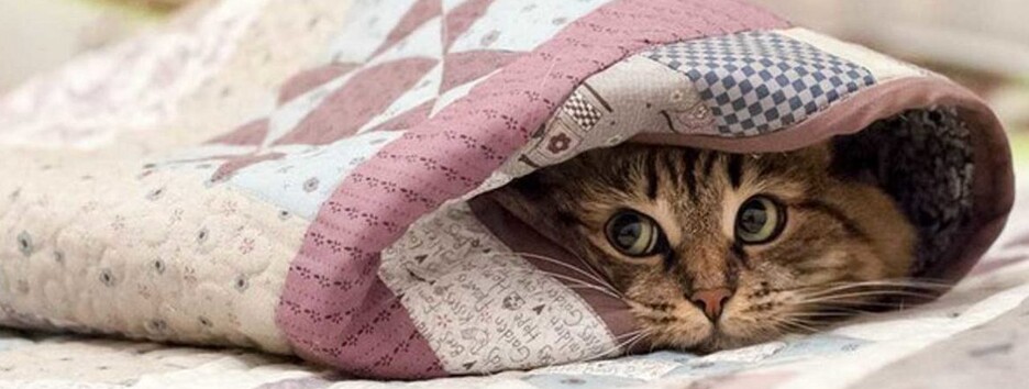 Рекордно холодний перший день літа в Україні висміяли у фотожабах