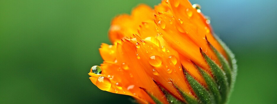 Погода на вихідних буде контрастною: синоптик попередила про град